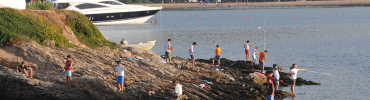 Fish Click Fish Click